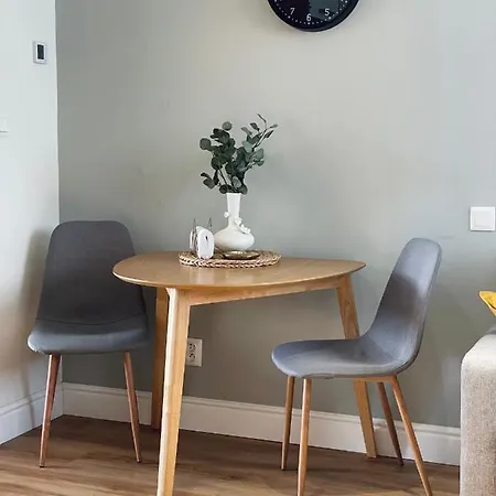 Myslbekova 17 Apartment Ostrava